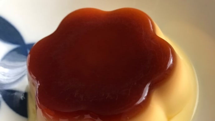 不動のおやつ、ぷっちんプリン