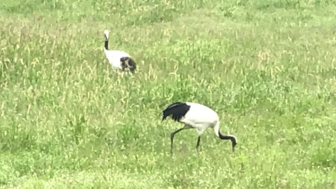 北海道、あるある⁉️