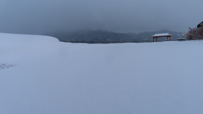 雪景色・2月1日～2月20日まで