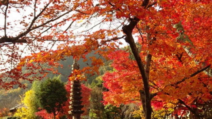 化野念仏寺、美しい墓場の紅葉・後編　＠　京都妖怪探訪（６６９）