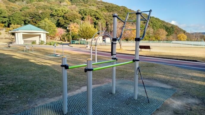 懸垂トレーニング　再開