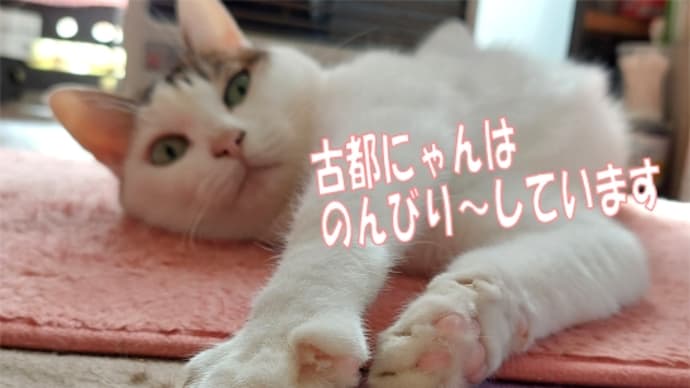 落ち葉の粉砕🍂学校落ち葉清掃~「落ち葉の粉砕動画有り」