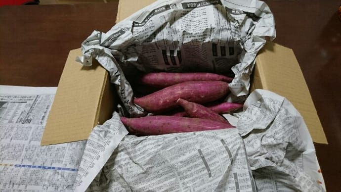 【マルシェルモニター】南国高知のさつまいも 紅はるか2kg