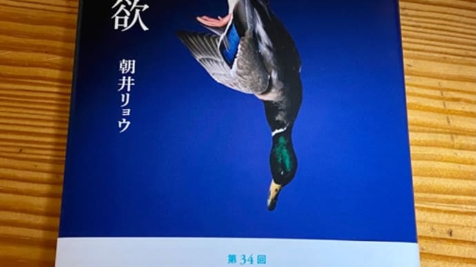 『流浪の月』と『正欲』を読みました