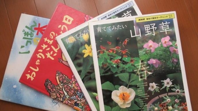今日の捨てたもの・本