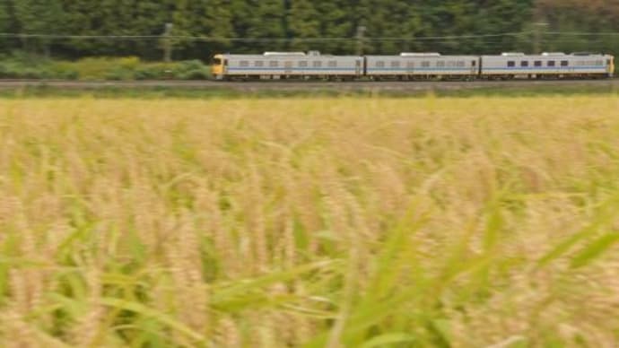 3日の"ドクター東海"
