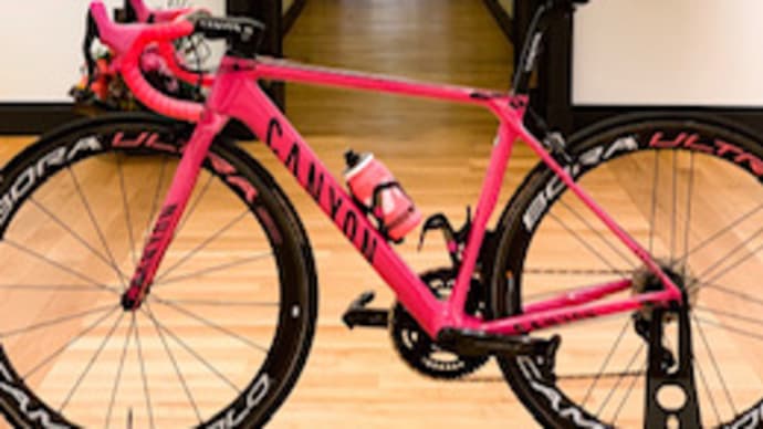 来年は自転車レースだ!見るほうね