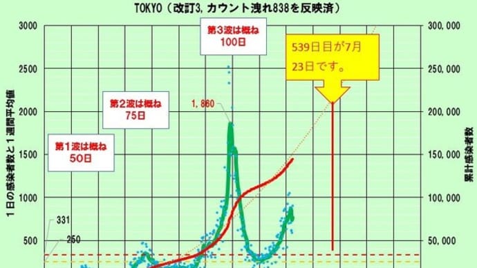 「伝家の宝刀」は、錆びじゃなくて、竹光だったんだ。
