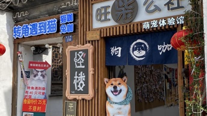 ドッグカフェ「旺柴公社狗狗体験館」