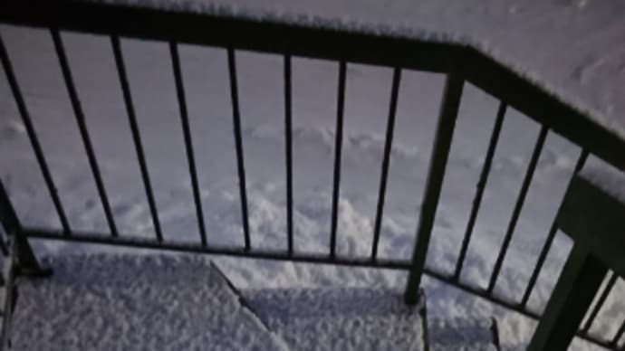 雪がさらり