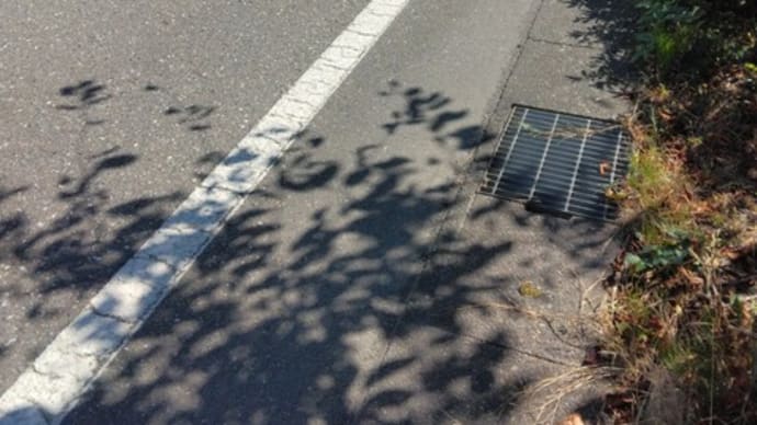 日陰を探して歩く *思い通りにならない一日*