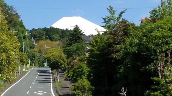 230516_散歩中にみた富士山