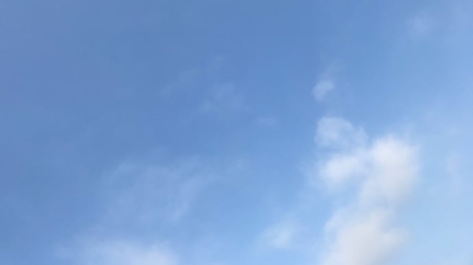 ☆晴れた☆
