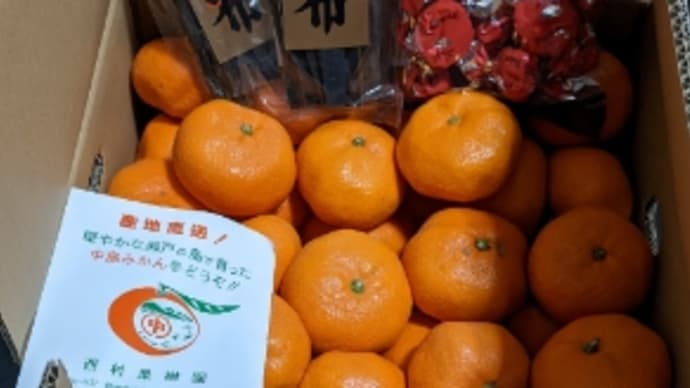 姉から愛媛みかんが届きました〜😄