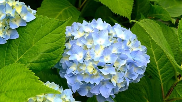 穏やかな1日