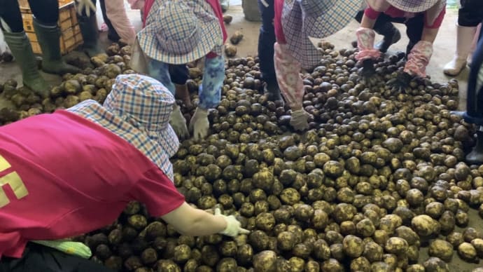 塙町研修1日目〜じゃがいも🥔〜