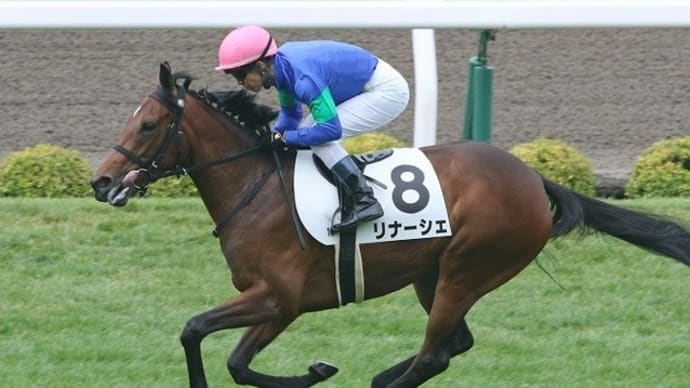 【リナーシェ】大きなダメージなく札幌開催出走へ