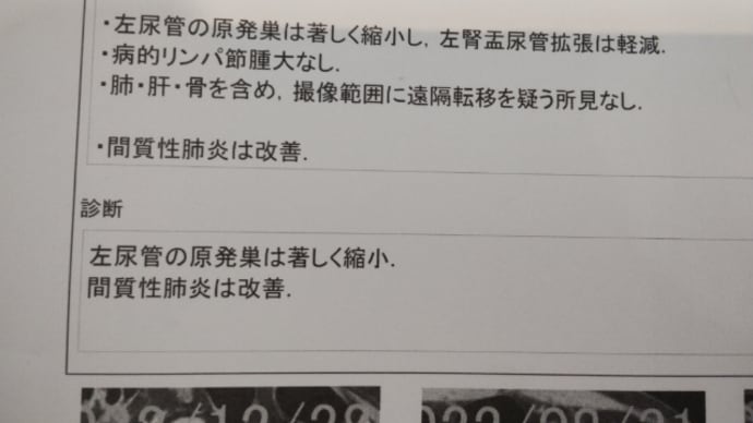 先日のCT検査結果