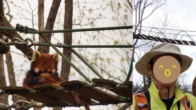 2025GW旅の北海道はやっぱりでっかいどう⑫　旭山動物園2
