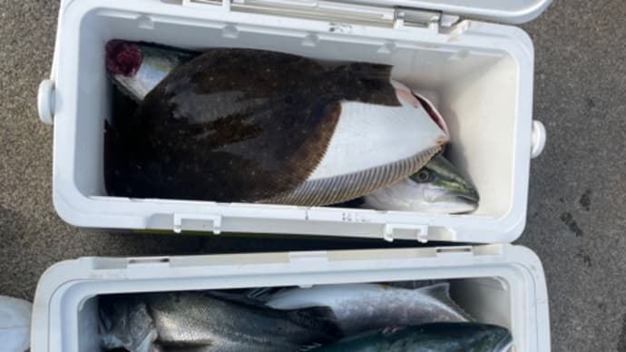 9日・釣果