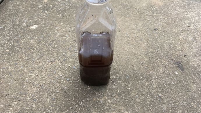 特製ドクダミ農薬