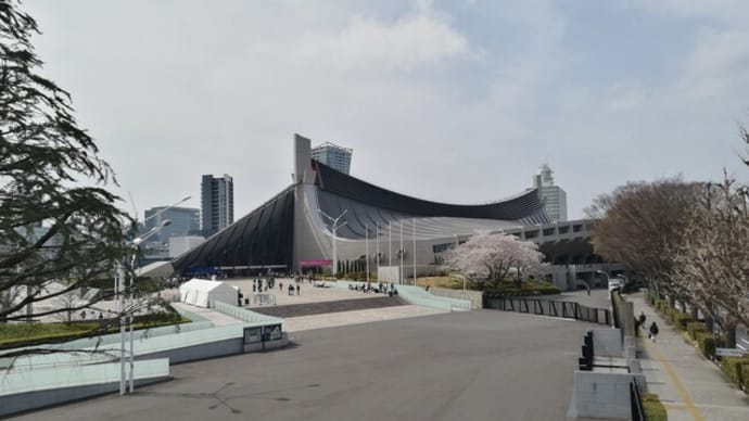 国立代々木競技場原宿側の桜と預かりワンコ
