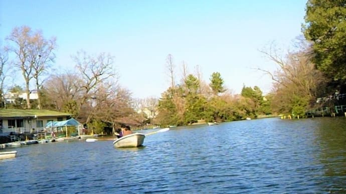 武蔵関公園でボート