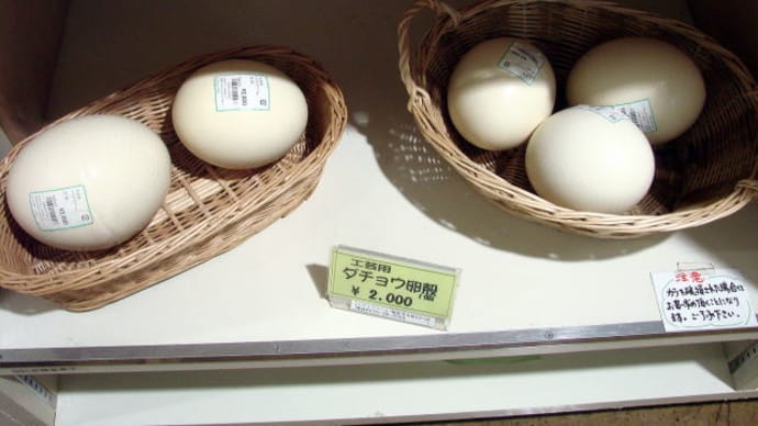 ダチョウのタマゴ