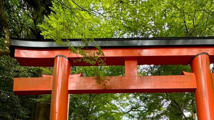••みんなで貴船を訪れました••