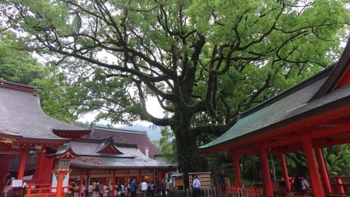 月一の歯科検診
