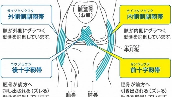 知らなーーい、考えたこともなかった膝の中