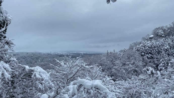 初登り 城ケ平山