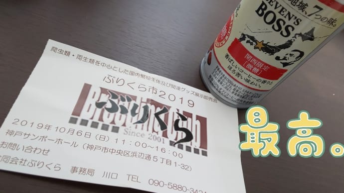 長崎⇔神戸 独り旅(〃´ω`〃)✨