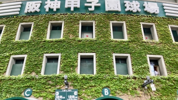 暑い熱い甲子園