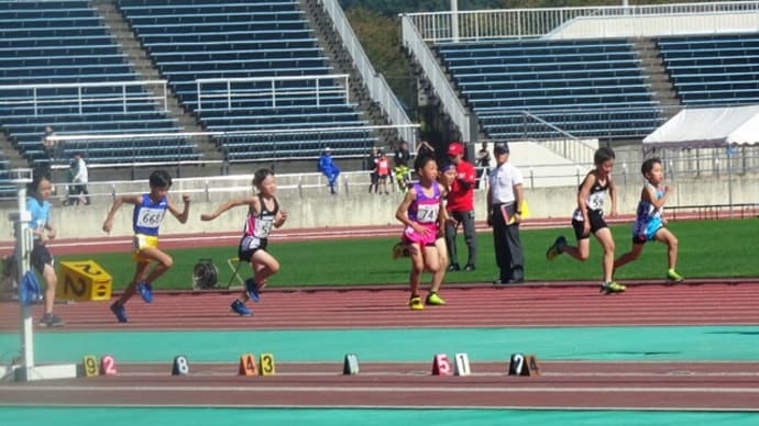 元気をもらえたスポーツの秋