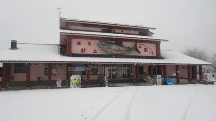 飼育員活動