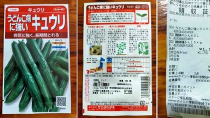 1番高いキュウリの種を買いました