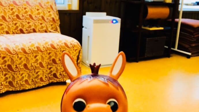 ロバくんと体操に行ってきたよ