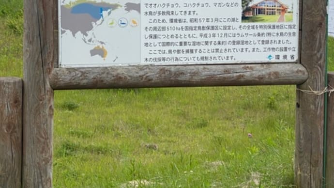 2021年北海道の旅最後の朝