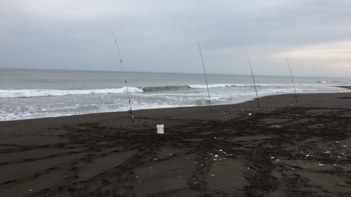 鮭釣り2020 海水温の影響かあいつの猛攻が・・・そして旭川にも奴が現れた!