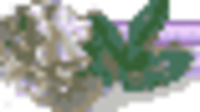 素敵なお医者様