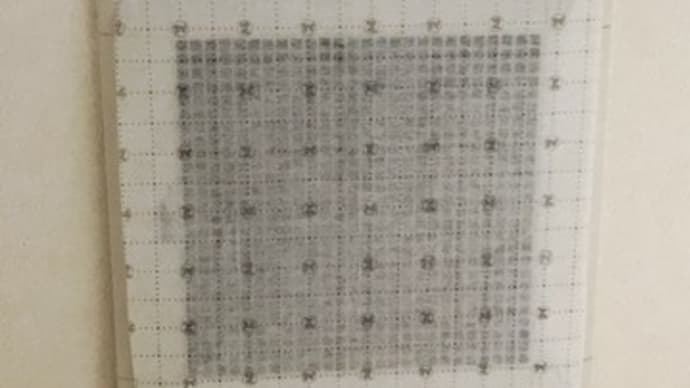 大掃除　浴室と脱衣所
