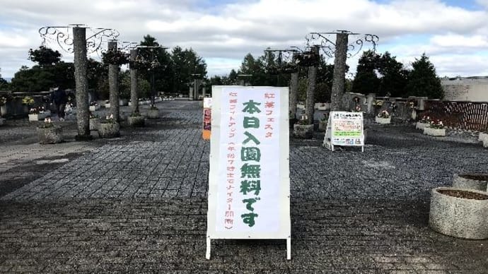 宇治市植物公園・紅葉