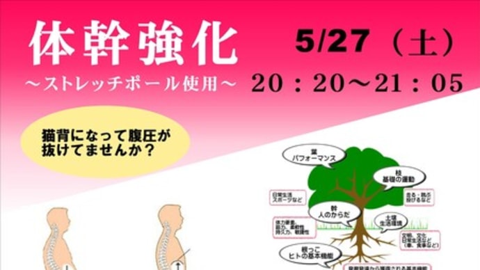 【参加者募集中】ストレッチポールでカラダの中から強くなろう‼︎　『体幹強化』