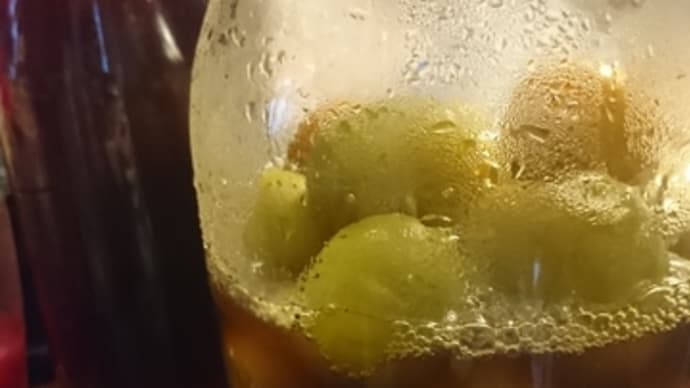 南高梅の蜂蜜漬け