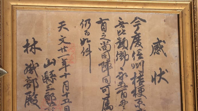 偽造の感状書。真田幸村の影武者として討ち死にした先祖。保科正之に仕えた先祖。林采女(妻女山里山通信)