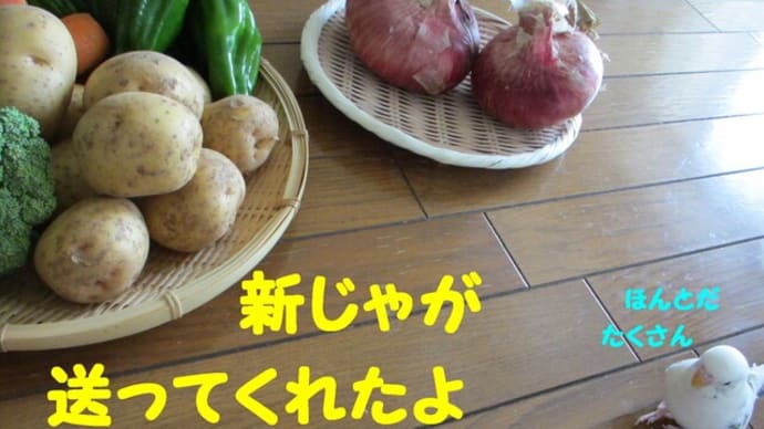 無農薬野菜ありがとう