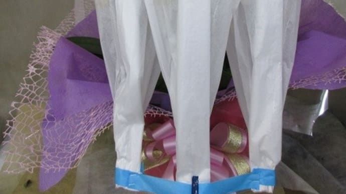 胡蝶蘭3本立を入荷致しました。(竣工祝い用)