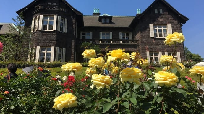 10/19~ 朝ドラで話題!牧野記念庭園&秋のバラフェスティバル&小石川植物園のミニ企画展「牧野富太郎と小石川植物園」見学バスツアー