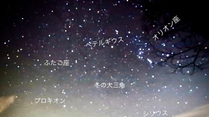 エストレリータのベランタから 北極星